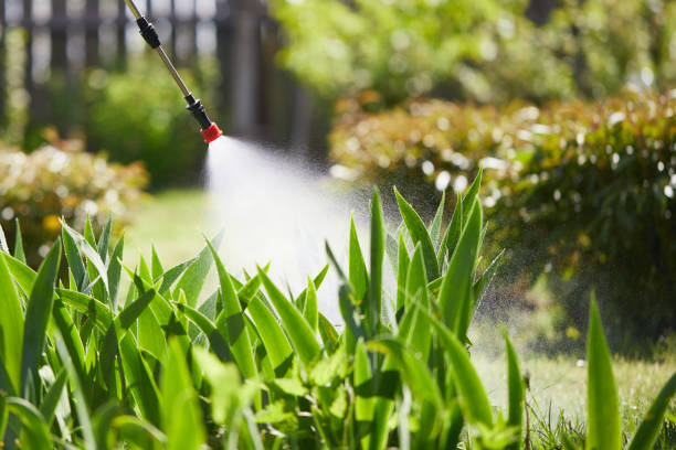 Tamper-Resistant Bait Stations for Rodents in Mallory