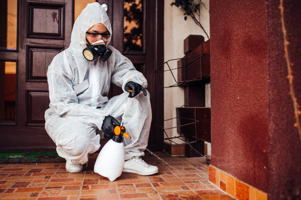 Attic and Crawl Space Rodent Treatment in Mallory